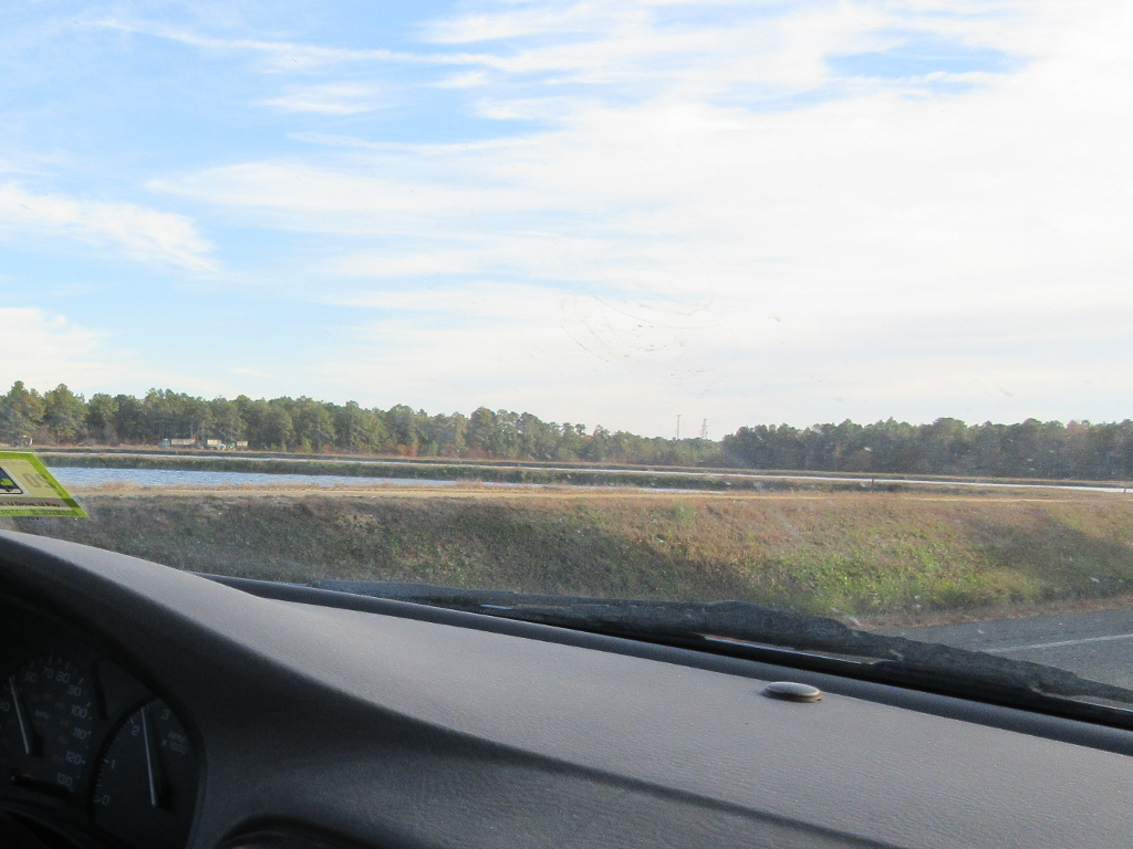 Flooded bog