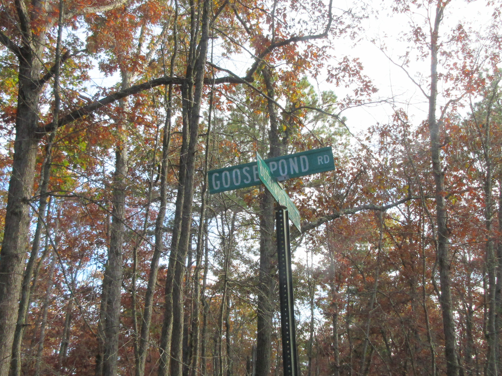 Street sign