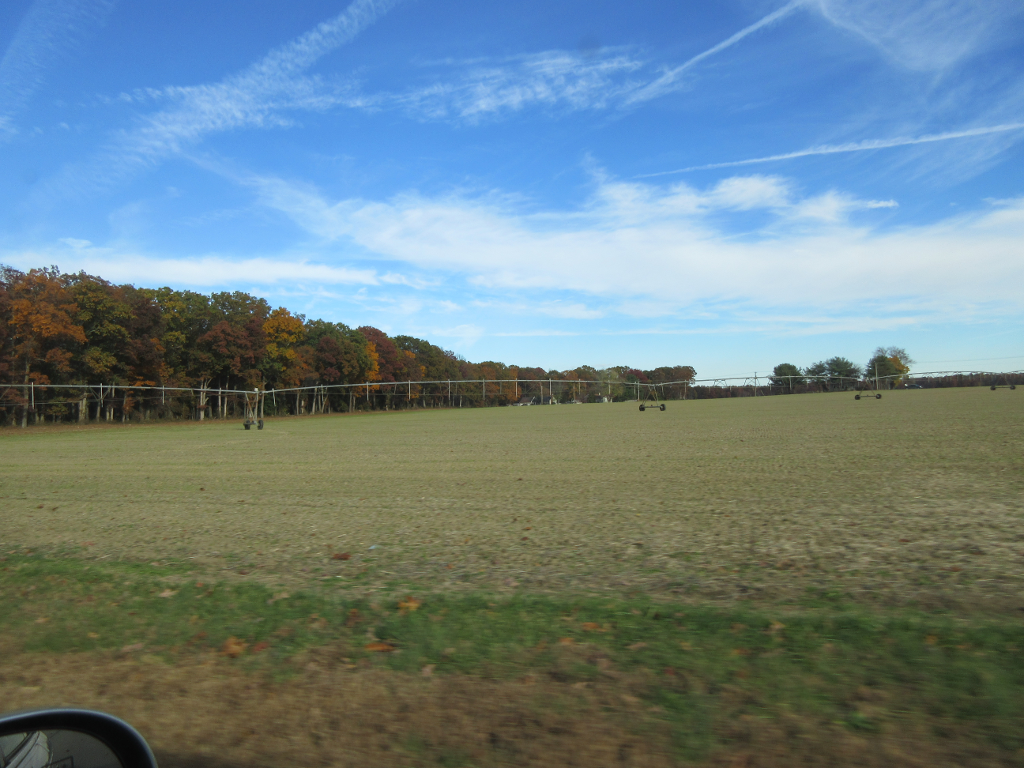 Edge of an irrigated field