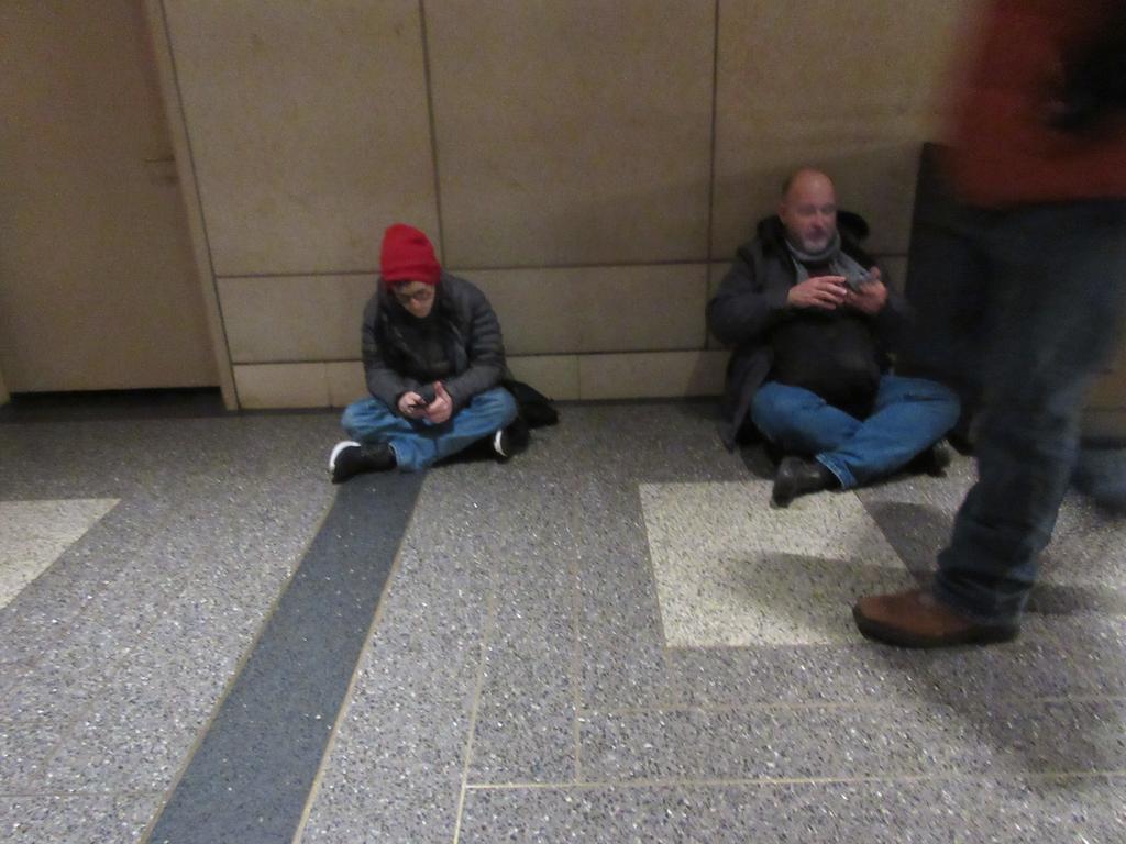 NYC transients